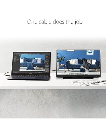 ASUS Zenscreen Mb166c 15.6'' Grade A